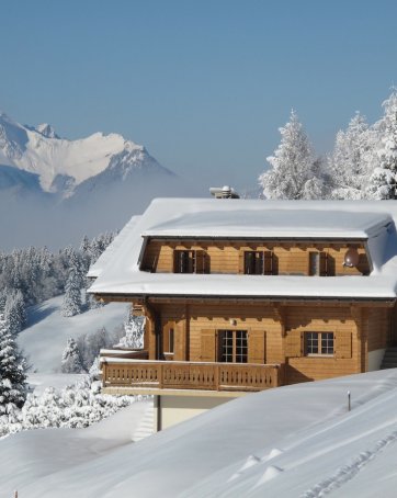 Stunning Chalet Les Coniferes - Villars Barboleuse